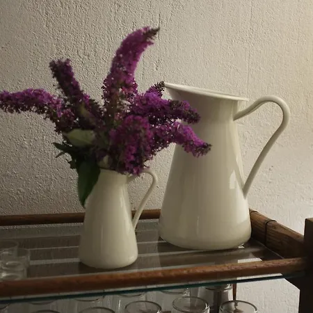 Casa Dels Peixos-singular's La Baronia de Rialb