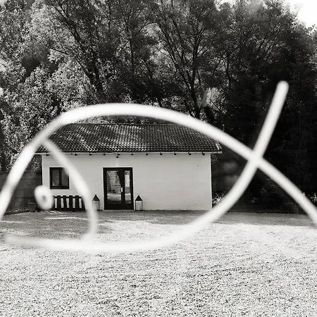 Casa Dels Peixos-singular's